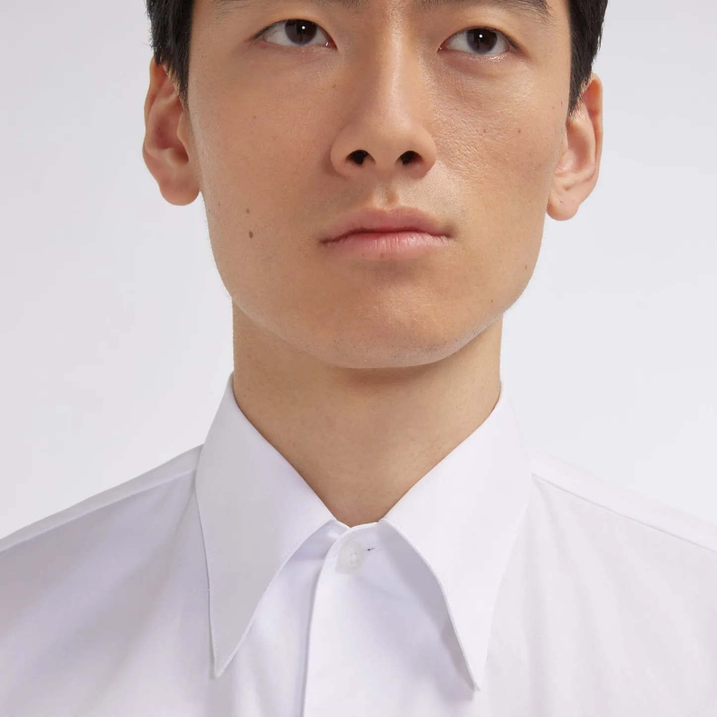 HAST Chemise en popeline double retors blanche> Chemises Blanches | Chemises Formelles